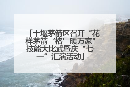 十堰茅箭区召开“花样茅箭‘格’暖万家”技能大比武暨庆“七·一”汇演活动