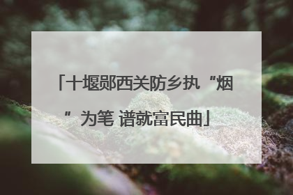 十堰郧西关防乡执“烟”为笔 谱就富民曲