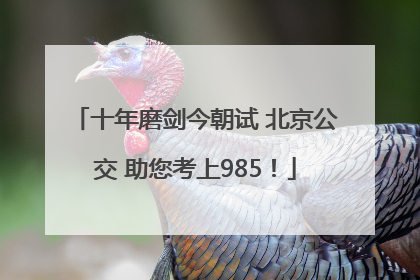 十年磨剑今朝试 北京公交 助您考上985！