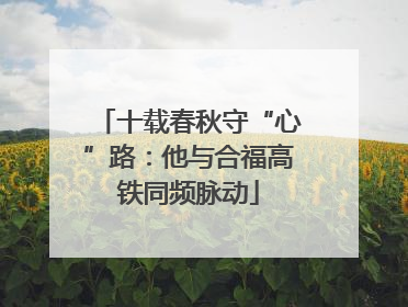 十载春秋守“心”路：他与合福高铁同频脉动
