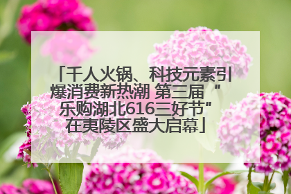 千人火锅、科技元素引爆消费新热潮 第三届“乐购湖北616三好节”在夷陵区盛大启幕