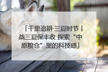 千里追耕·三夏时节丨战三夏保丰收 探索“中原粮仓”里的科技感