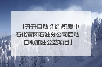 升升自助 涓涓积爱中石化黄冈石油分公司启动自助加油公益项目
