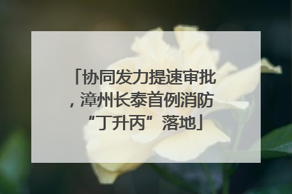 协同发力提速审批，漳州长泰首例消防“丁升丙”落地