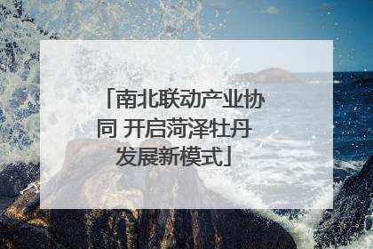 南北联动产业协同 开启菏泽牡丹发展新模式