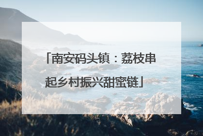 南安码头镇：荔枝串起乡村振兴甜蜜链