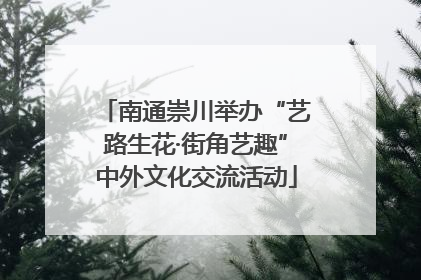 南通崇川举办“艺路生花·街角艺趣”中外文化交流活动