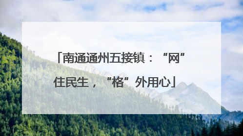 南通通州五接镇：“网”住民生，“格”外用心