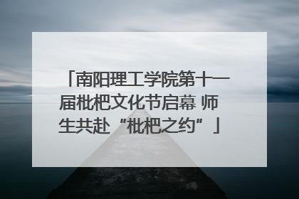 南阳理工学院第十一届枇杷文化节启幕 师生共赴“枇杷之约”