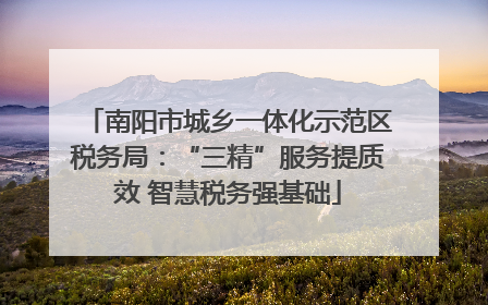 南阳市城乡一体化示范区税务局：“三精”服务提质效 智慧税务强基础
