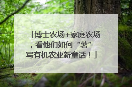 博士农场+家庭农场，看他们如何“薯” 写有机农业新童话！