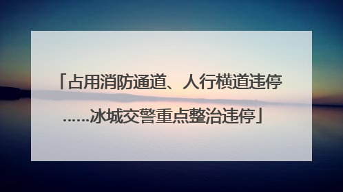 占用消防通道、人行横道违停……冰城交警重点整治违停