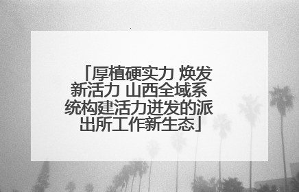 厚植硬实力 焕发新活力 山西全域系统构建活力迸发的派出所工作新生态