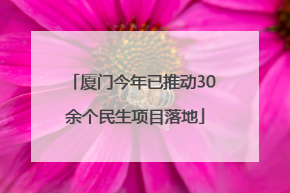 厦门今年已推动30余个民生项目落地