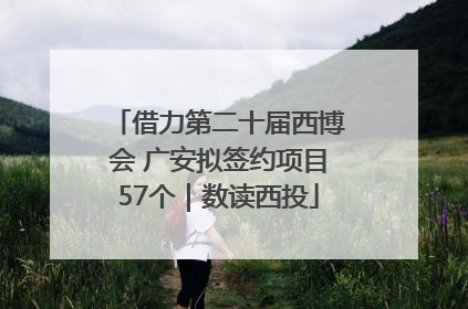 借力第二十届西博会 广安拟签约项目57个｜数读西投