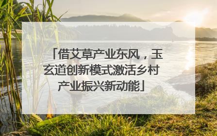 借艾草产业东风，玉玄道创新模式激活乡村产业振兴新动能