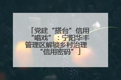党建“搭台”信用“唱戏”：宁阳华丰管理区解锁乡村治理“信用密码”