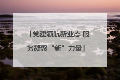 党建领航新业态 服务凝聚“新”力量