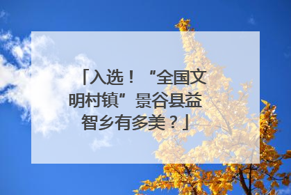 入选！“全国文明村镇”景谷县益智乡有多美？
