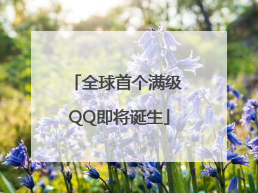 全球首个满级QQ即将诞生