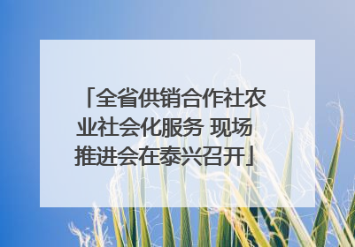 全省供销合作社农业社会化服务 现场推进会在泰兴召开