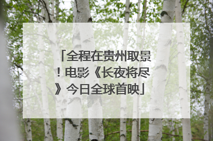 全程在贵州取景！电影《长夜将尽》今日全球首映