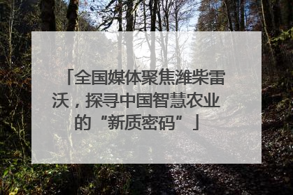 全国媒体聚焦潍柴雷沃，探寻中国智慧农业的“新质密码”