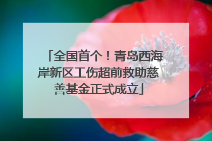 全国首个！青岛西海岸新区工伤超前救助慈善基金正式成立