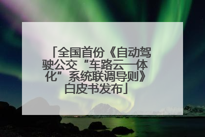 全国首份《自动驾驶公交“车路云一体化”系统联调导则》白皮书发布
