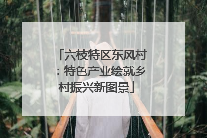 六枝特区东风村：特色产业绘就乡村振兴新图景