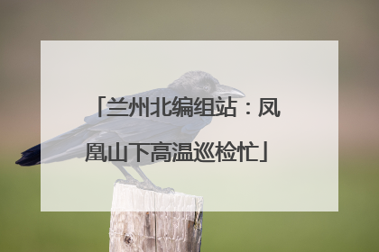 兰州北编组站：凤凰山下高温巡检忙