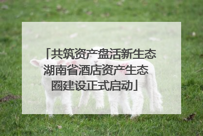 共筑资产盘活新生态 湖南省酒店资产生态圈建设正式启动