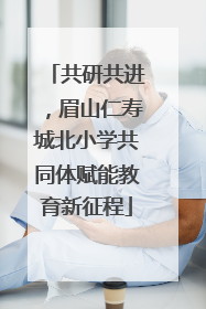 共研共进，眉山仁寿城北小学共同体赋能教育新征程