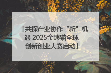 共探产业协作“新”机遇 2025金熊猫全球创新创业大赛启动
