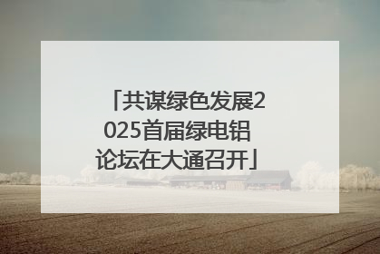 共谋绿色发展2025首届绿电铝论坛在大通召开