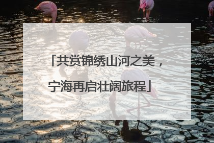 共赏锦绣山河之美，宁海再启壮阔旅程