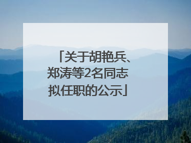 关于胡艳兵、郑涛等2名同志拟任职的公示