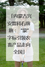 内蒙古兴安盟科右前旗：“蒙”字标引领农畜产品走向全国
