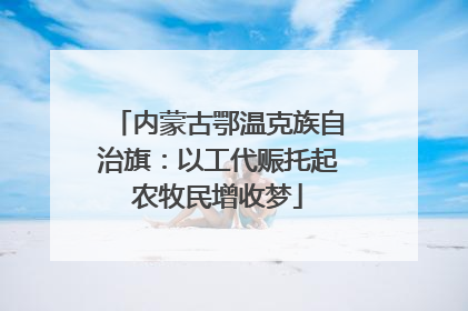 内蒙古鄂温克族自治旗：以工代赈托起农牧民增收梦