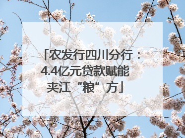 农发行四川分行：4.4亿元贷款赋能夹江“粮”方