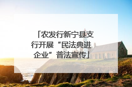 农发行新宁县支行开展“民法典进企业”普法宣传
