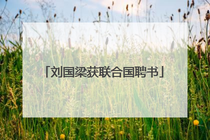 刘国梁获联合国聘书
