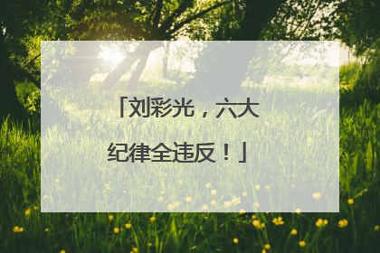 刘彩光，六大纪律全违反！