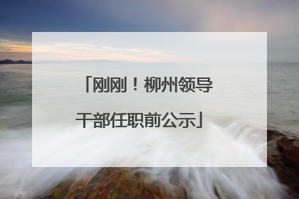 刚刚！柳州领导干部任职前公示