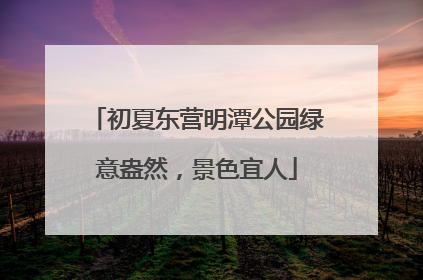 初夏东营明潭公园绿意盎然，景色宜人