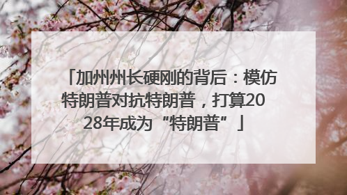 加州州长硬刚的背后：模仿特朗普对抗特朗普，打算2028年成为“特朗普”
