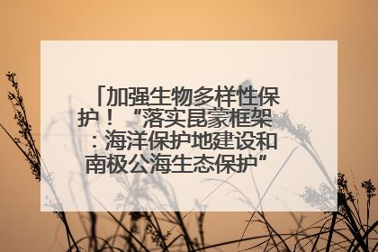 加强生物多样性保护！“落实昆蒙框架：海洋保护地建设和南极公海生态保护”主题论坛将举办