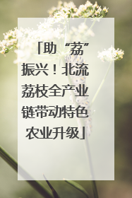 助“荔”振兴！北流荔枝全产业链带动特色农业升级