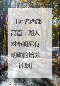 匿名西部高管：湖人对布朗尼有明确的培养计划