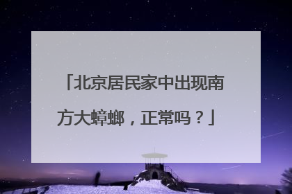 北京居民家中出现南方大蟑螂，正常吗？